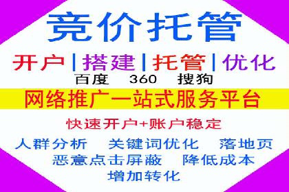 SEM广告投放的精准定位与优化案例